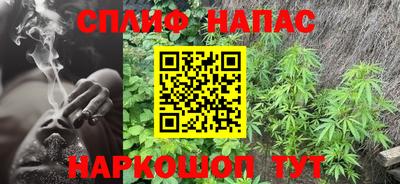 каннабис Будённовск