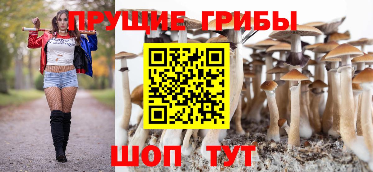 Псилоцибиновые грибы мицелий Кумертау